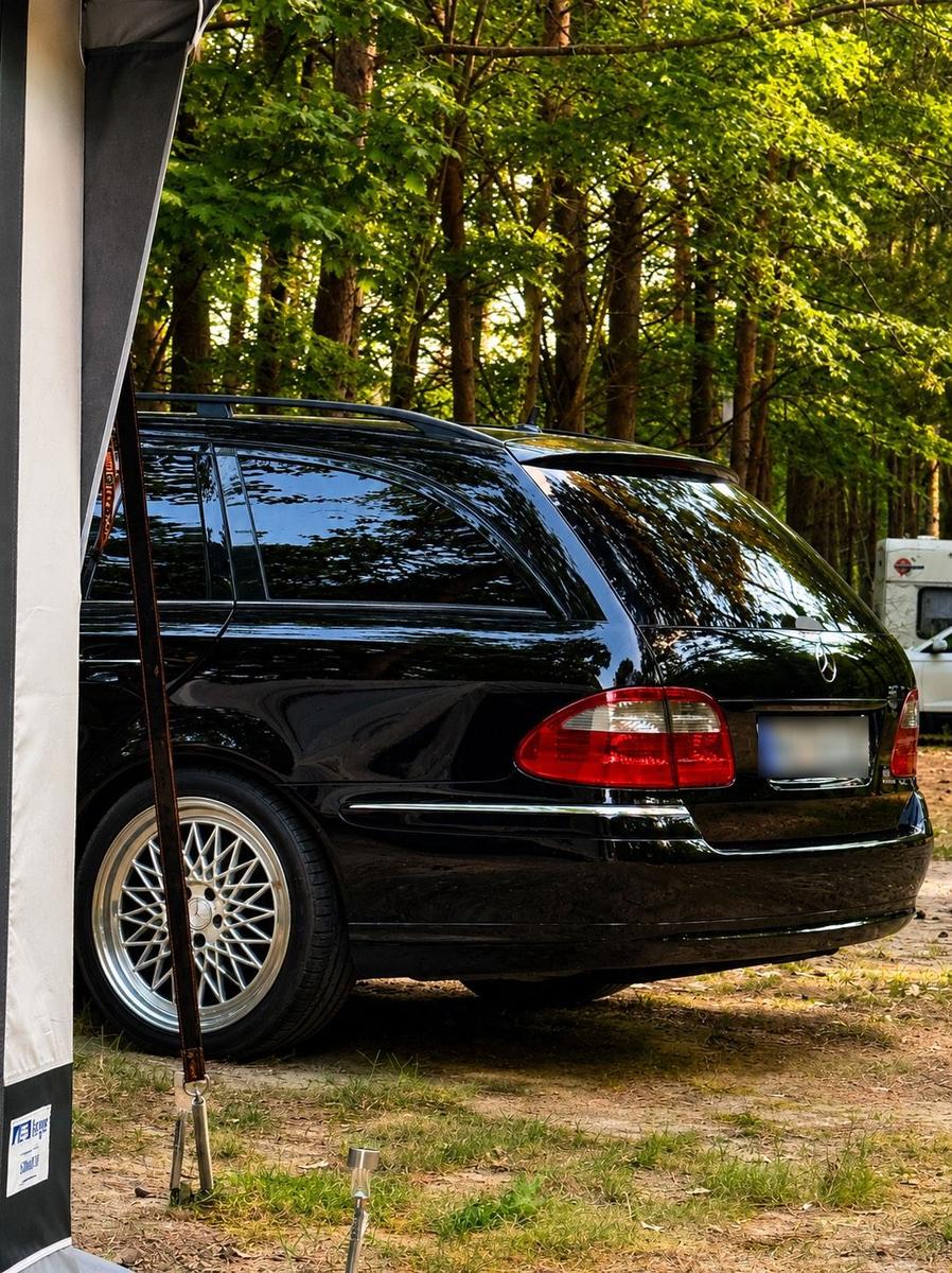 Mercedes-Benz E220 2008 — rear view