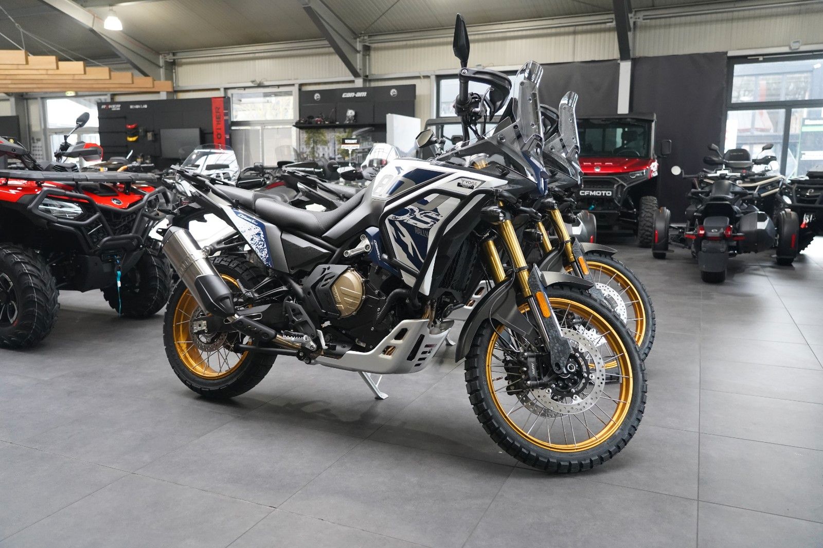 Fahrzeugabbildung VOGE DS 800 X Rally Beide Farben auf Lager