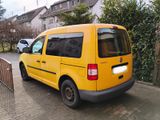Volkswagen VW Caddy Kasten *LKW Zulassung 2.0 SDI - Volkswagen Caddy: Zulassung Lkw