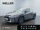 Lexus UX 250h Launch Edition *Bi-LED*ACC*CAM*SHZ*Navi* - Lexus UX: Launch Edition