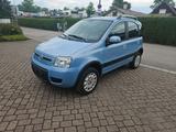 Fiat Panda 1.2 8V Climbing  4X4 - Fiat Panda aus 2011: Allradantrieb