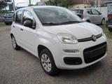 Fiat Panda Pop-1 HAND-80500 TKM - Fiat Panda Gebrauchtwagen in Hannover