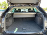 Skoda Octavia - Vorschau Bild 13