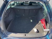 Skoda Octavia - Vorschau Bild 6