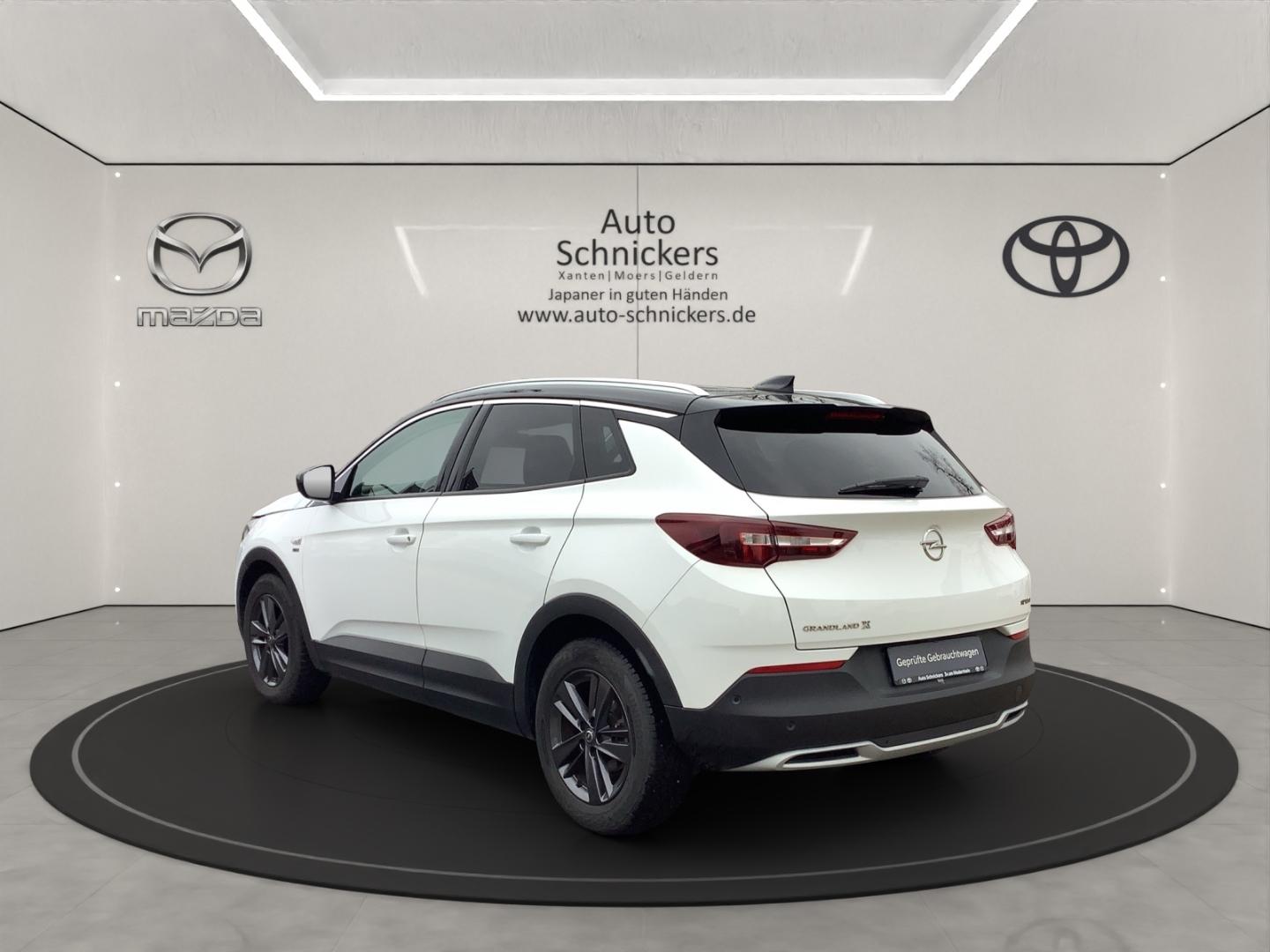 Opel Grandland X 120 Jahre Edition-Ganzjahresräder-Na