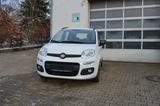Fiat Panda Easy/Klima - Fiat Panda: Weiß
