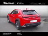 Lexus UX 300h F-Sport Design 15 Jahre Relax Garantie - Lexus UX Gebrauchtwagen