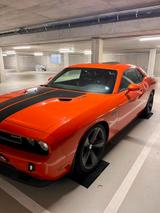 Dodge Challenger SRT 8 Hemi 6,1 L First Edition 2008 - Dodge Challenger in Frankfurt (Main)