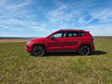Cupra Ateca 2.0 TSI 300PS 4Drive DSG Velvet-Rot - rote Cupra Ateca