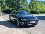 Audi A4 50 TDI qu. 1Hd. AHK StdHz Matrix