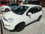 Fiat Panda 1.0 GSE Mild  Hybrid Benzin CITY SPORT - Fiat Panda Gebrauchtwagen in Stuttgart