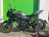 Suzuki SV650 Scrambler Custom - SUZUKI CUSTOM