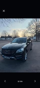 Mercedes-Benz ML 250 4MATIC -Schiebedach | Leder | AHK | Top - Mercedes-Benz ML 250 mit Panoramadach