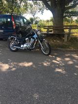 Suzuki VS800 - Angebote