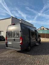 La Strada Avanti C aus erster Hand BJ 2017 - Angebote