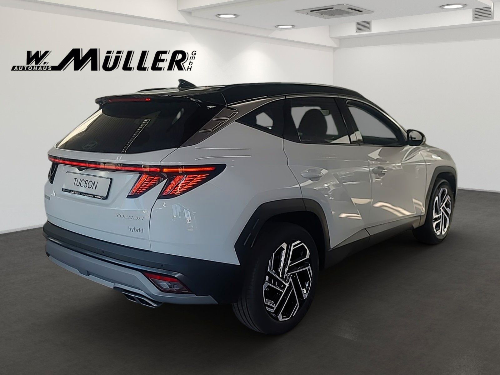 Fahrzeugabbildung Hyundai Tucson Prime Hybrid