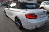 BMW 220 i Navi-LED-Leder-Kamera-Verkehrsz.-WR-Sitzh. - BMW: V