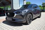 Mazda CX-30 2.5 140PS 6AG Homura Voll-LED Navi Kamera  - Mazda CX-30 Neuwagen