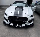Ford Mustang 2.3 EcoBoost Shelby - Ford Mustang: Roadster, Shelby