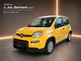 Fiat Panda Pandina 1.0 Mild Hybrid - Fiat Panda Gebrauchtwagen in Solingen