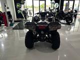 Kawasaki Brute Force 750 EPS Camo 2022 - Kawasaki Kardan Motorräder