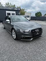 Audi S5 3.0 TFSI S tronic quattro Sportback - Audi S5: Sportback