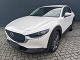 Mazda CX-30 2.0l Skyactiv-X Exclusive Driver & Sound-/ - Mazda CX-30 Benzin Gebrauchtwagen
