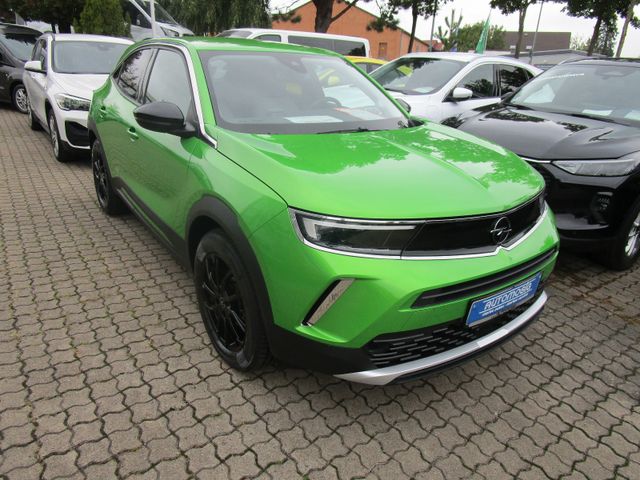 Mokka Elegance