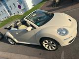 Volkswagen VW Beetle Cabriolet 1.9 TDI, ausgefallene ... - Volkswagen Beetle aus 2008: Cabrio
