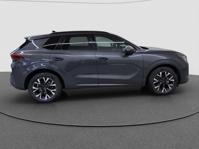 Cupra Terramar - Bild 10