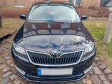 Skoda Rapid 1.2 TSI Drive Spaceback Drive - Skoda Rapid in Hamburg