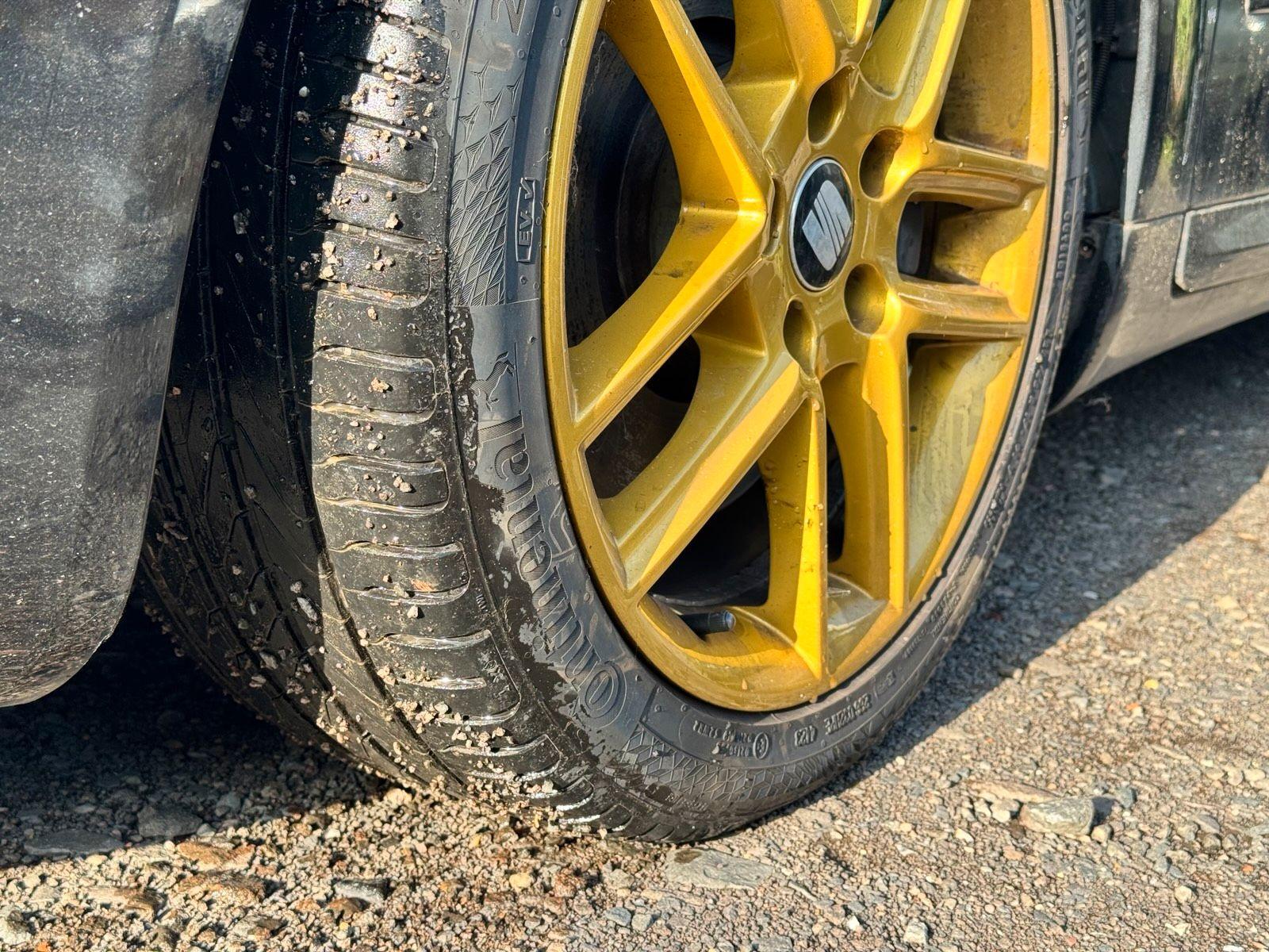 Seat Exeo 2011 — photo 8
