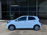 Kia Picanto Dream Team 1.0 5-Gang Automatik Rückfahr - Kia Picanto in Hannover