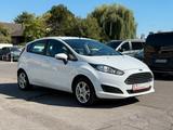 Ford Fiesta Sync Edition Garantie*8-Fach-Bereift* - Ford Fiesta Gebrauchtwagen in Dresden