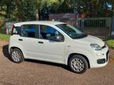 Fiat Panda EZ 04/2019*11.917 km*HU 5/2026 - Fiat Panda in Hamburg