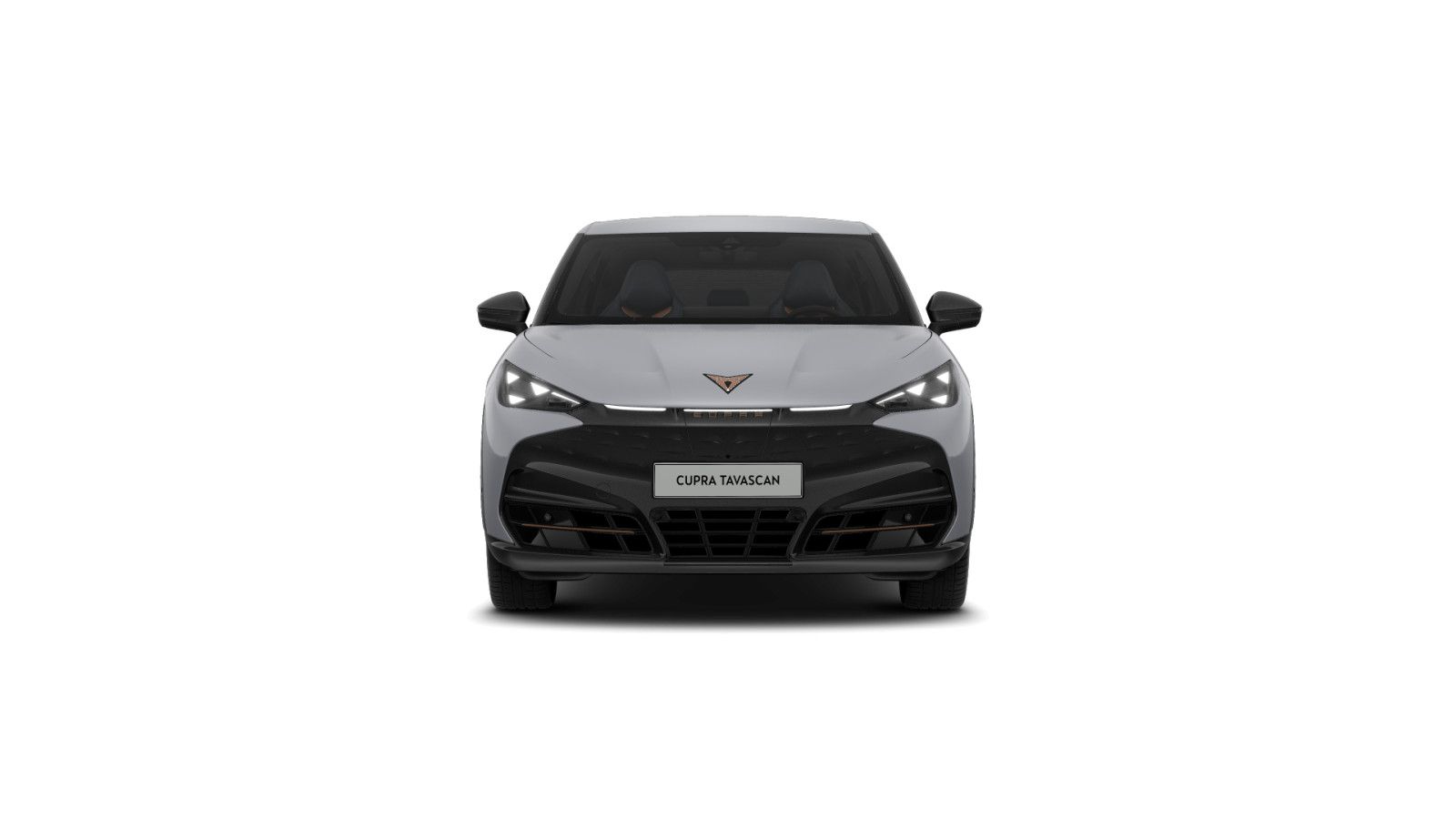 Cupra Tavascan Endurance Immersive 82 kWh 360° WP foto 3