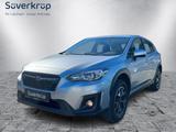 Subaru XV XV 1.6i TREND ALLRAD+AHK+SITZHZG. - Subaru XV aus 2019