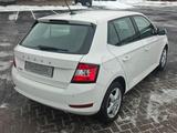 Skoda Fabia Cool Plus*1.0TSI*95PS*SHZ*PDC* - Skoda Fabia: 1.9