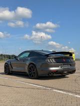 Ford Mustang Shelby GT350R / 5.2l / V8 - Ford Mustang: Gt350