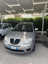 Lancia Ypsilon 1.2 Elle Oro - Lancia Ypsilon Elle mit Benzin-Antrieb