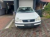 Volkswagen VW Polo 1.9 SDI  (ASY/FVU) mit Rest-TÜV - Volkswagen Polo: Sdi
