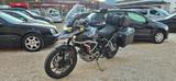 Triumph Tiger 900 GT PRO KIT VALIGE - TRIUMPH TIGER 900 GT