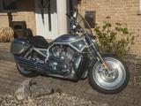 Harley-Davidson VRSCA (V-Rod) | 2003 | Nur 11.926 km | Liebhaber - HARLEY-DAVIDSON 2003 V ROD
