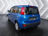 Fiat Panda 1.0 Mild-Hybrid ''Pandina'' Parksensoren K - Fiat Panda Gebrauchtwagen in Stuttgart