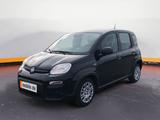 Fiat Panda 1.0 GSE Hybrid Klimaanlage Parksensoren - Fiat Panda Gebrauchtwagen in Münster