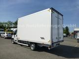 Opel Movano Möbelkoffer Koffer Premium - 8x4