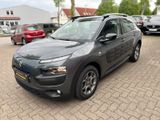 Citroën C4 Cactus Selection/2HD/NAVI/SHZ/TEMP/PDC - Citroën C4 Cactus: N