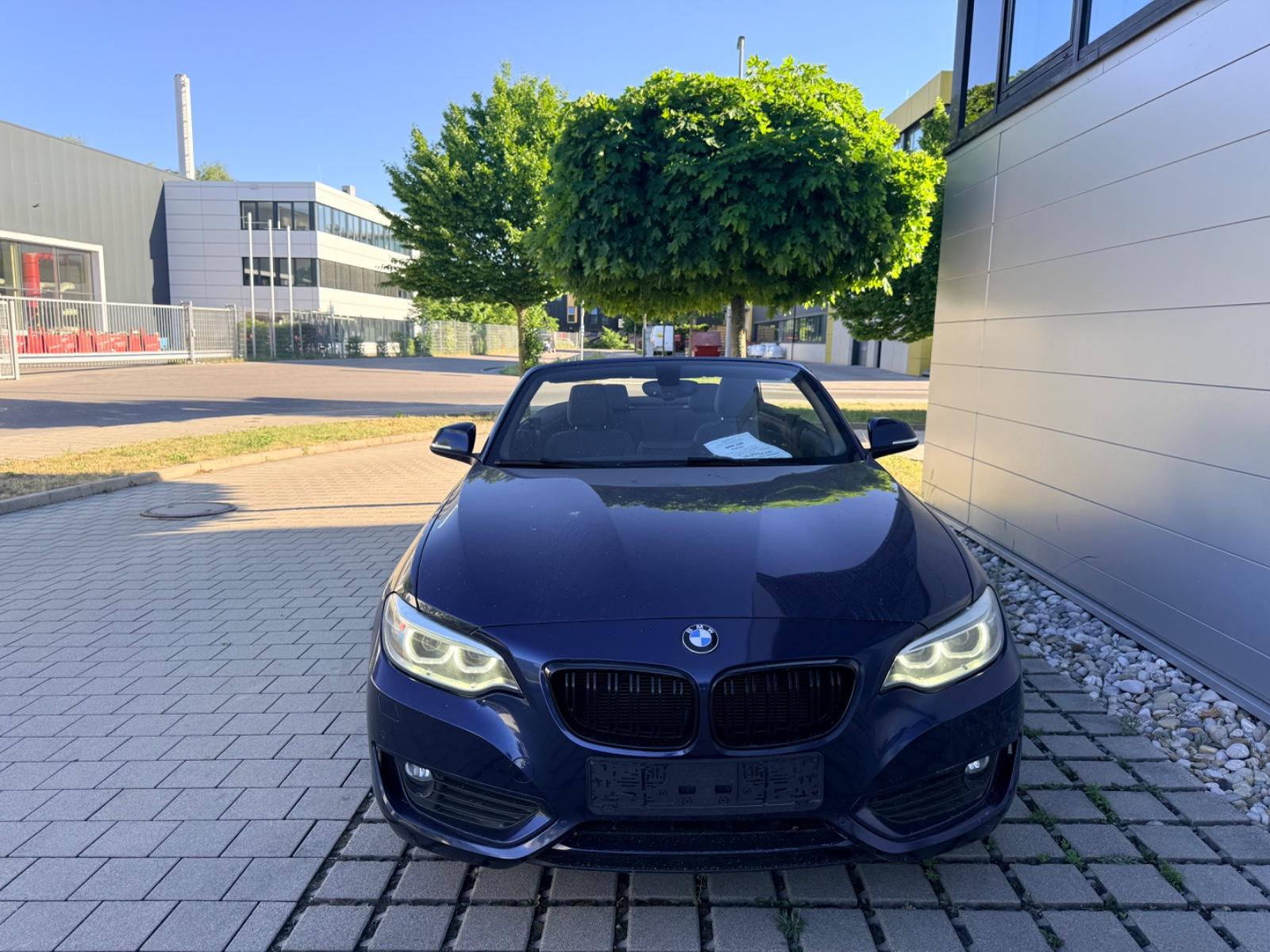BMW 220i Cabrio Leder/Xenon/PDC/Navi