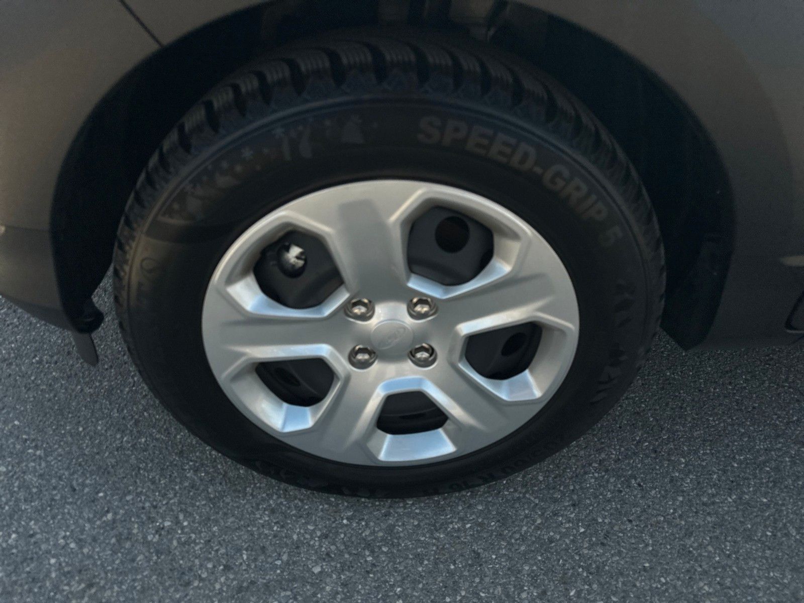 Fahrzeugabbildung Ford EcoSport Active AHK Technik Paket Winter Paket