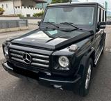 Mercedes-Benz G 350 G -Modell Station G 350 BlueTec - Mercedes-Benz G 350 aus 2012